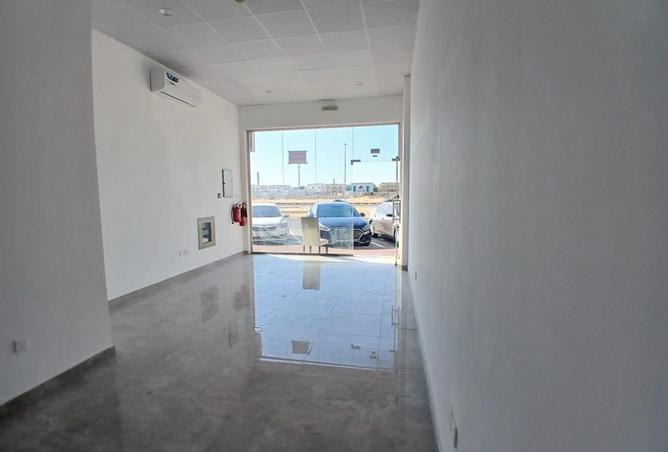 16072668 - Property Image 3