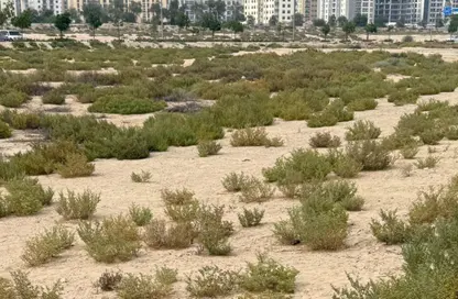 Land - Studio for sale in Saih Shuaib 2 - Dubai Industrial City - Dubai