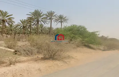 أرض - استوديو للبيع في الذيد - الشارقة