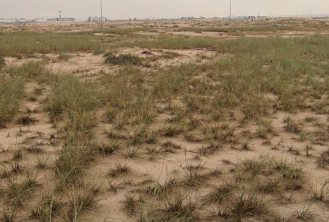 15275559 - Property Image 3