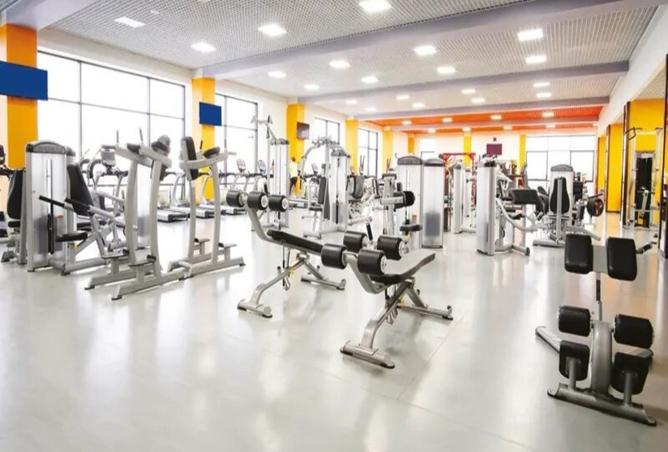 15528923 - Property Image 3