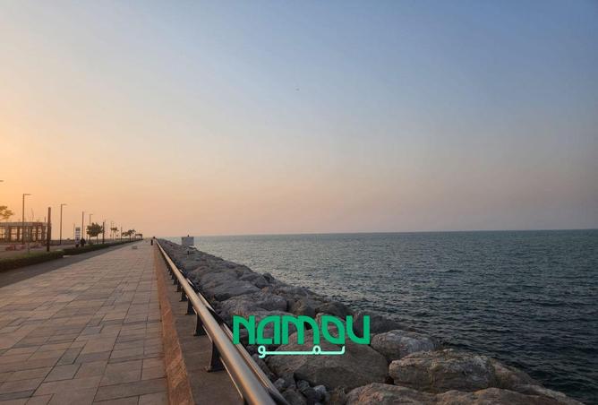 15571519 - Property Image 3