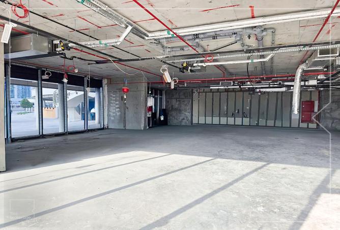 15712084 - Property Image 3