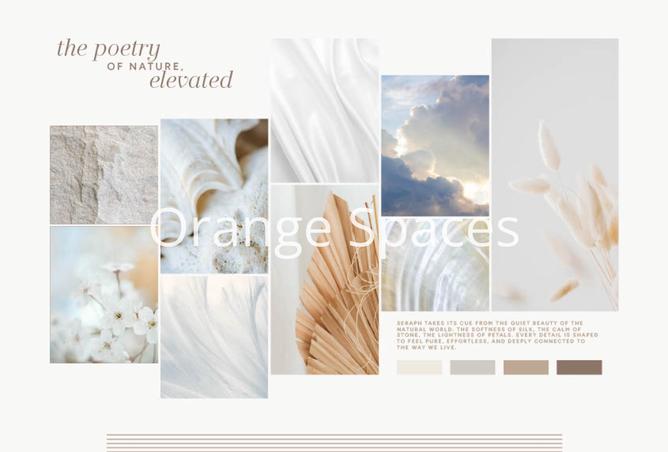 15956864 - Property Image 3