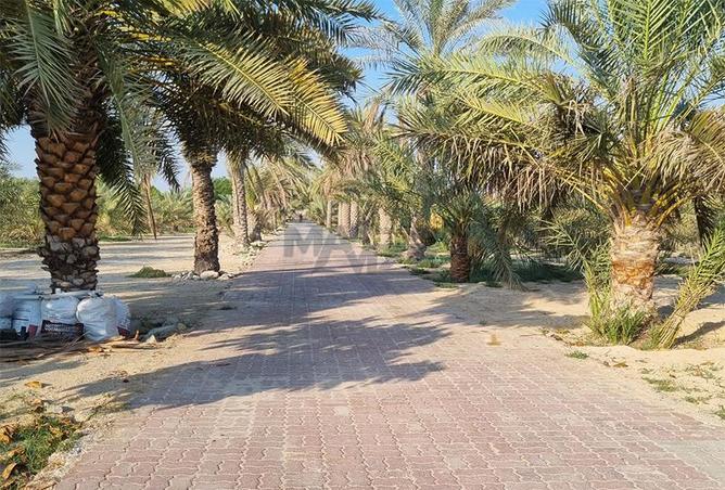 15856961 - الصورة الرئيسية للعقار