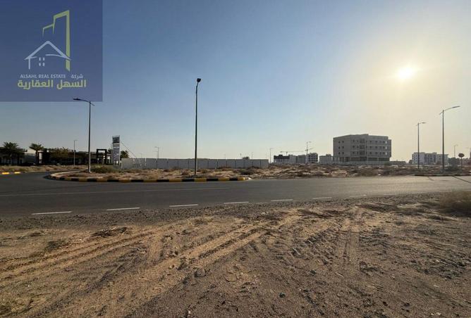 15993553 - Property Image 3