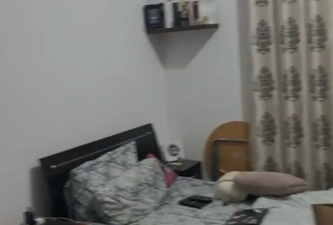 16054456 - صورة العقار 3