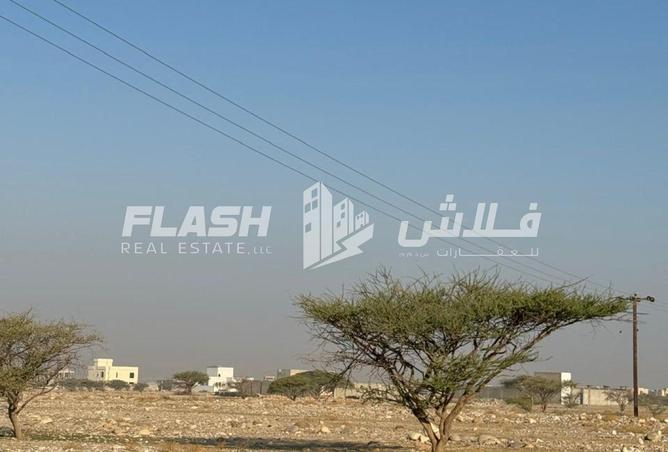 16100243 - Property Image 3