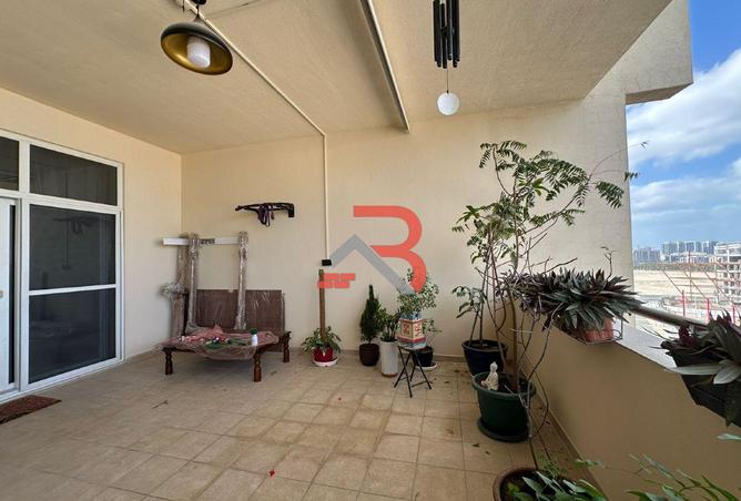 16094529 - Property Image 3