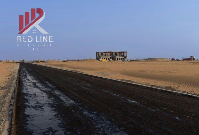 15692931 - Property Image 3