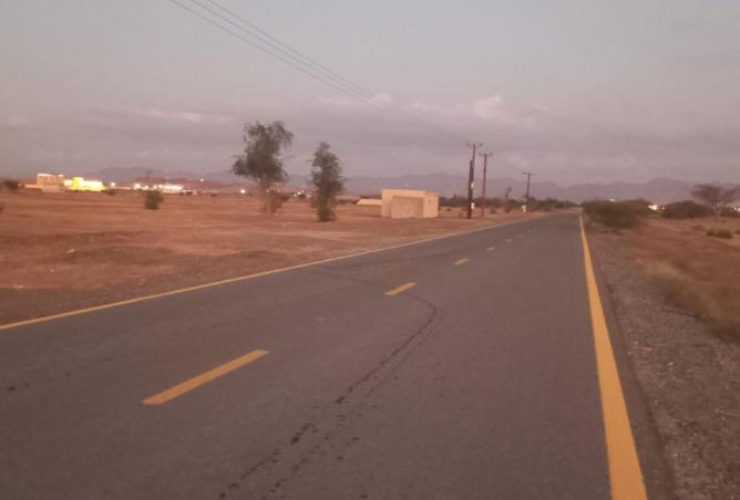 15697985 - Property Image 3