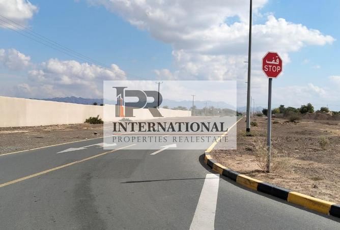 16036783 - Property Image 2