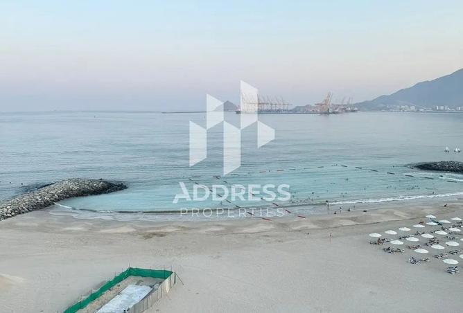 16037840 - Property Image 3