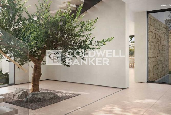 16107679 - Property Image 3