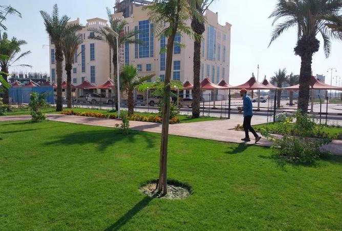 15151513 - صورة العقار 3