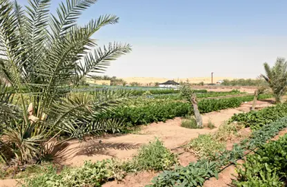 Land - Studio for sale in Al Helio 2 - Al Helio - Ajman