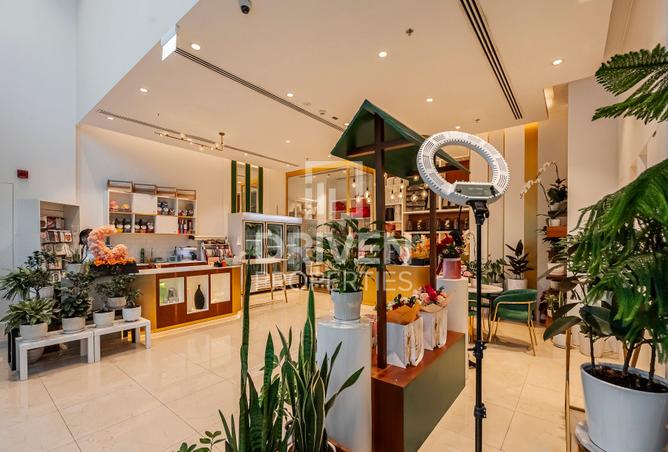 16000412 - Property Image 3