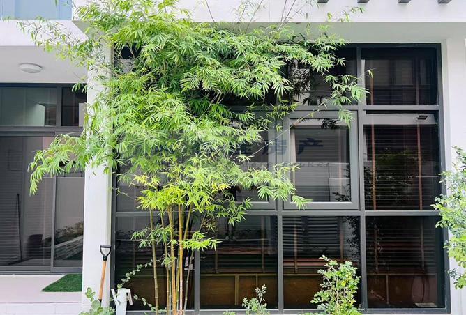 15306086 - صورة العقار 2