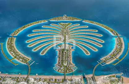 Apartment - Studio for sale in Palm Jebel Ali- Frond P - Palm Jebel Ali - Dubai