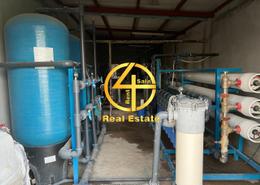Farm for sale in Al Dhahrah - Al Ain
