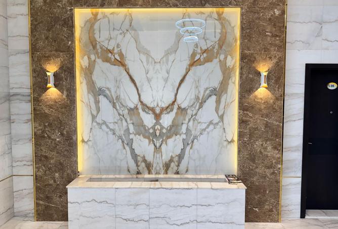 15688165 - صورة العقار 2