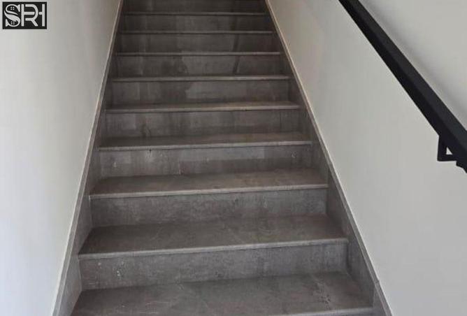 15616348 - Property Image 3