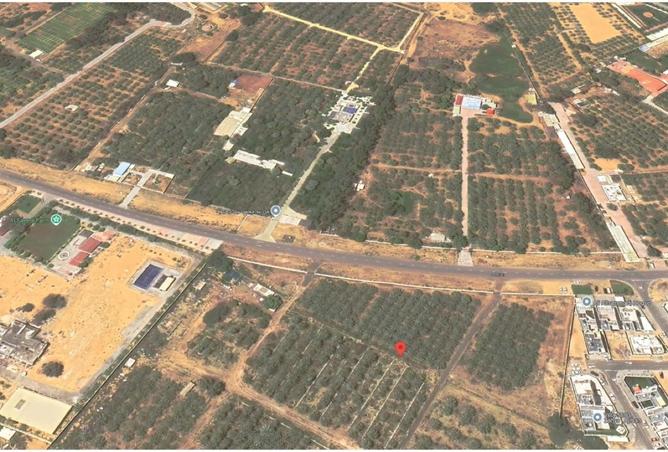 16032732 - Property Image 3