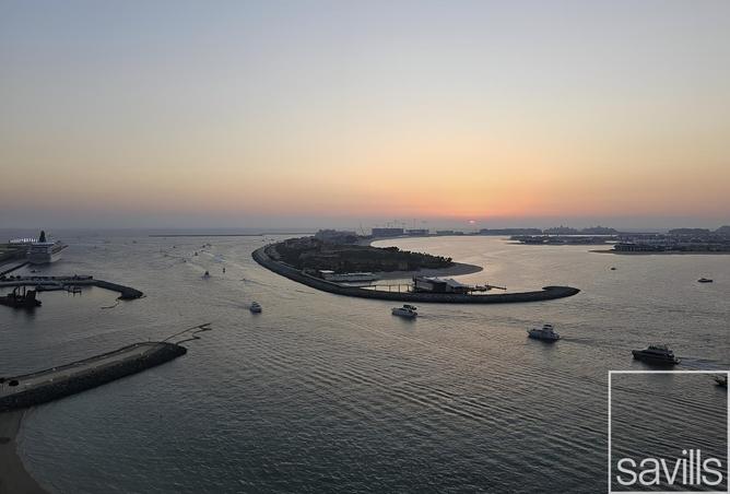 15560707 - صورة العقار 3