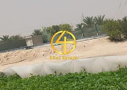 Farm for sale in Al Ajban - Abu Dhabi