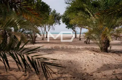 أرض - استوديو للبيع في الجرف جاردنز - الجرف - غنتوت - أبوظبي أرض - استوديو للبيع في الجرف جاردنز - الجرف - غنتوت - أبوظبي