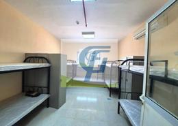Labor Camp for rent in MW-5 - Mussafah Industrial Area - Mussafah - Abu Dhabi