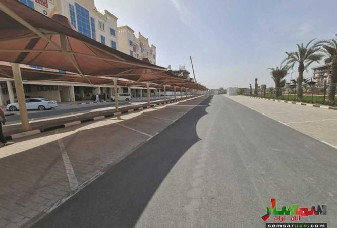 15977318 - صورة العقار 3