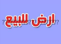ارض للبيع مباشرة في الجرف حوض 3 خلف السوق الصيني بالقرب من بناية الزمالك في عجمان 900 متر مربع جيد المنظر