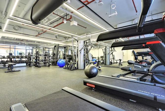 15869829 - Property Image 3