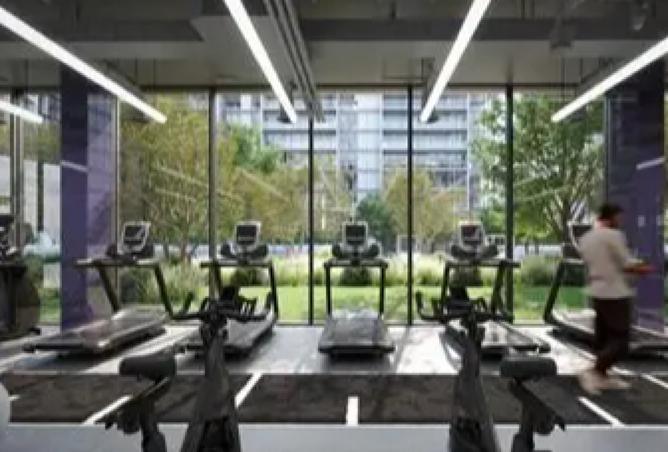 15497686 - Property Image 3