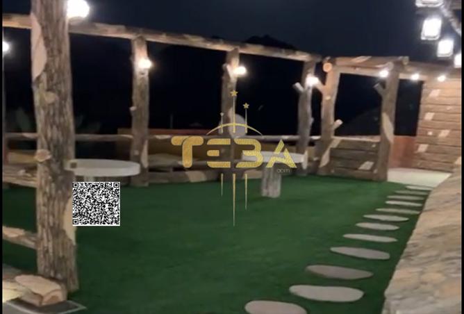 15248438 - Property Image 3