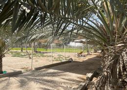 Farm for sale in Al Ajban - Abu Dhabi