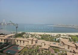 Apartment - 1 bedroom - 2 bathrooms for rent in Murjan 2 - Murjan - Jumeirah Beach Residence - Dubai