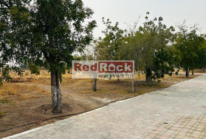 15776123 - صورة العقار 2