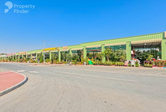 15398718 - صورة العقار 2