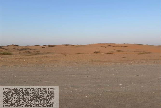 15257531 - Property Image 3