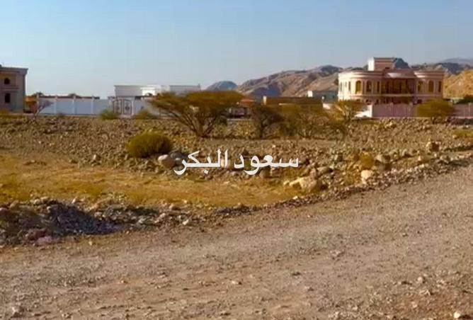 15945370 - Property Image 3