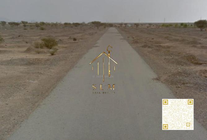 16008641 - Property Image 3