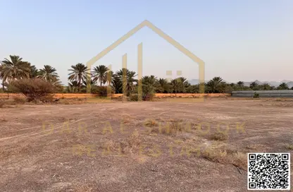 أرض - استوديو للبيع في مصفوت 3 - مصفوت - عجمان