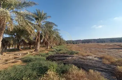 مزرعة - استوديو - 2 حمامات للايجار في إرابيان هيلز استيت - الفقع - العين