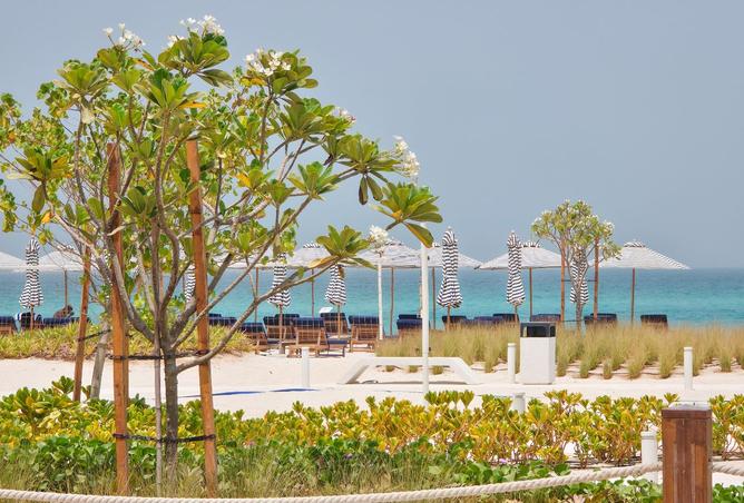 15665158 - Property Image 3