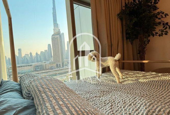 15302156 - Property Image 2