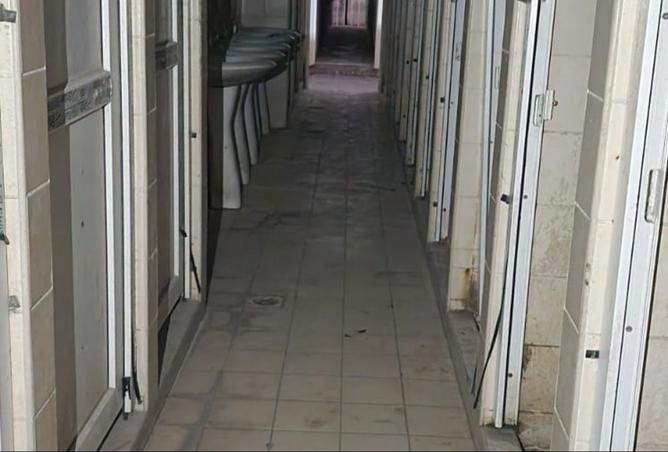 16040659 - Property Image 3