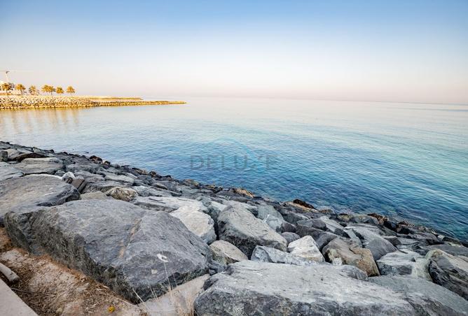 15684114 - صورة العقار 3