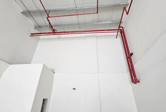 15286967 - Property Image 2
